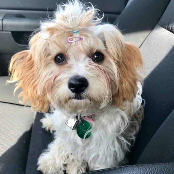 Meet your Posher, Louise - Picture 8 of 8